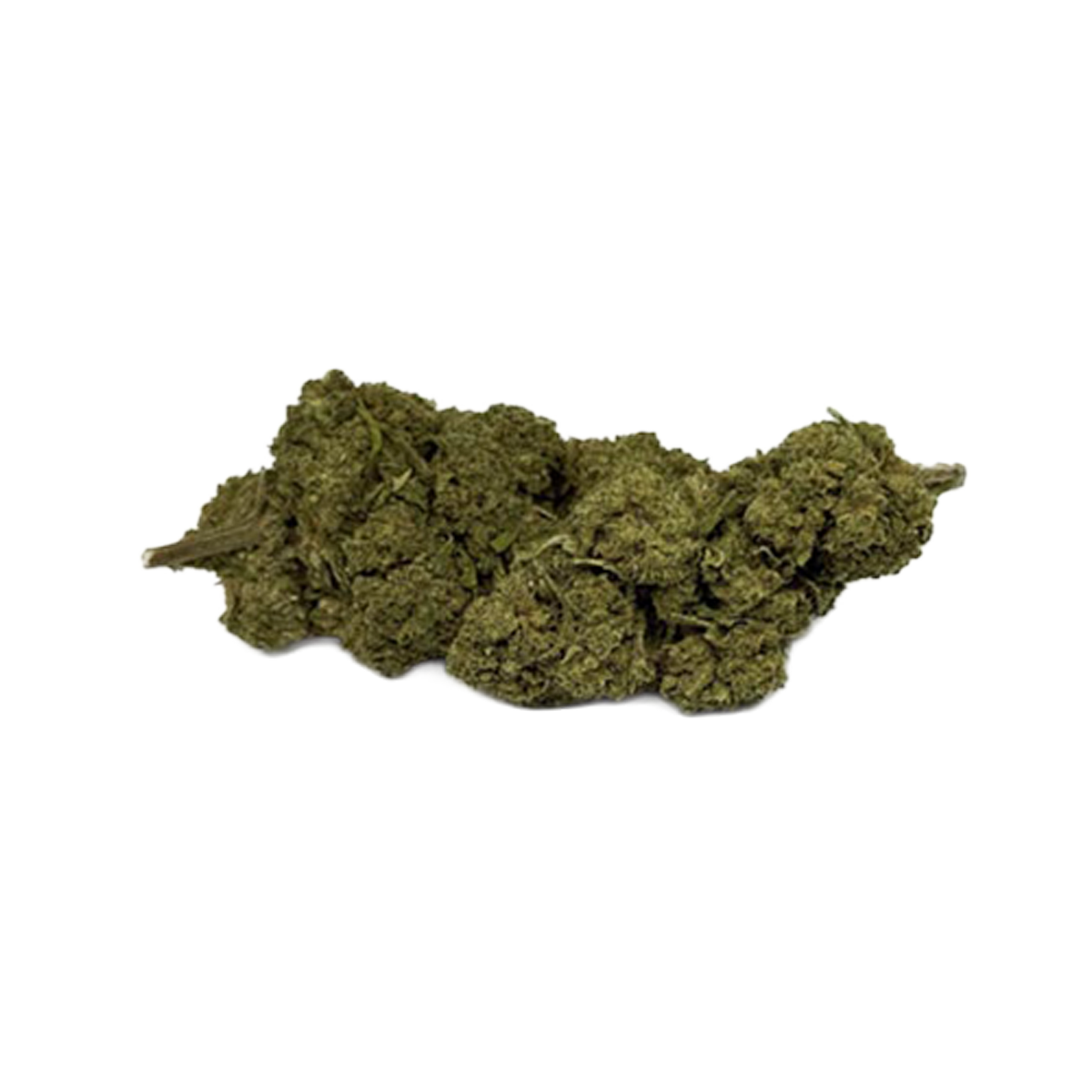 fleur CBD G13 DC10 puissante indoor effet intense