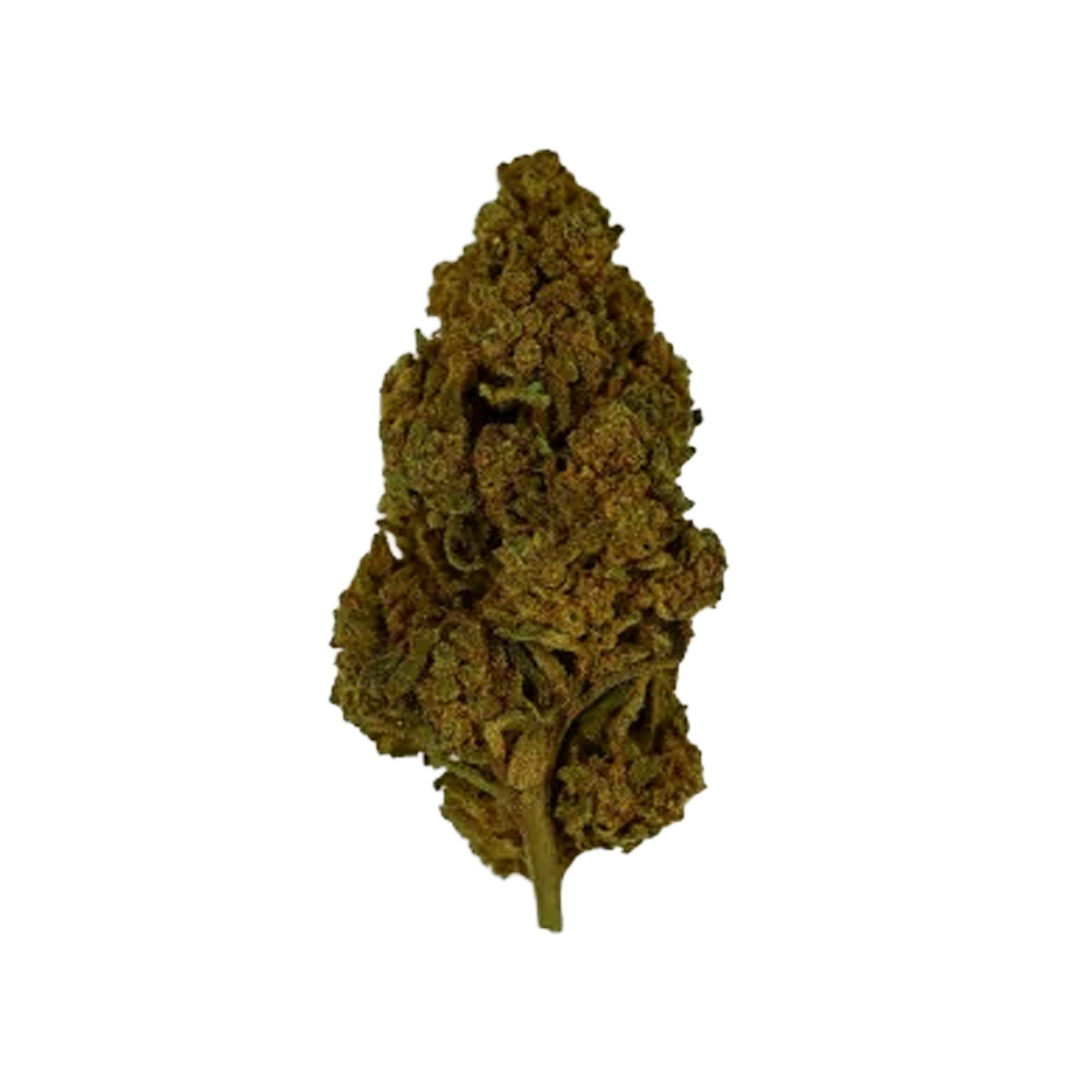 Fleur CBD Tropical Kush DEVIL indoor, buds denses au goût fruité et effet relaxant puissant