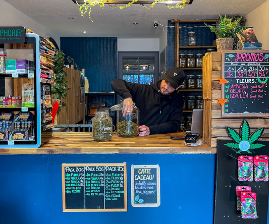 CBD à Toulouse : comment trouver un bon shop ?