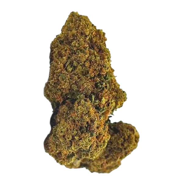 Amnesia CBC