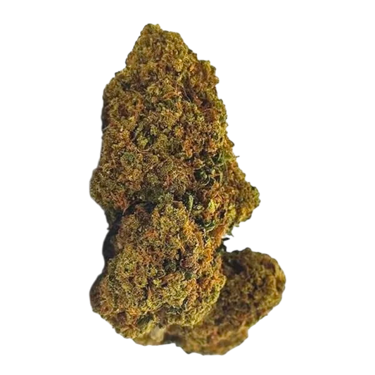 Amnesia CBC