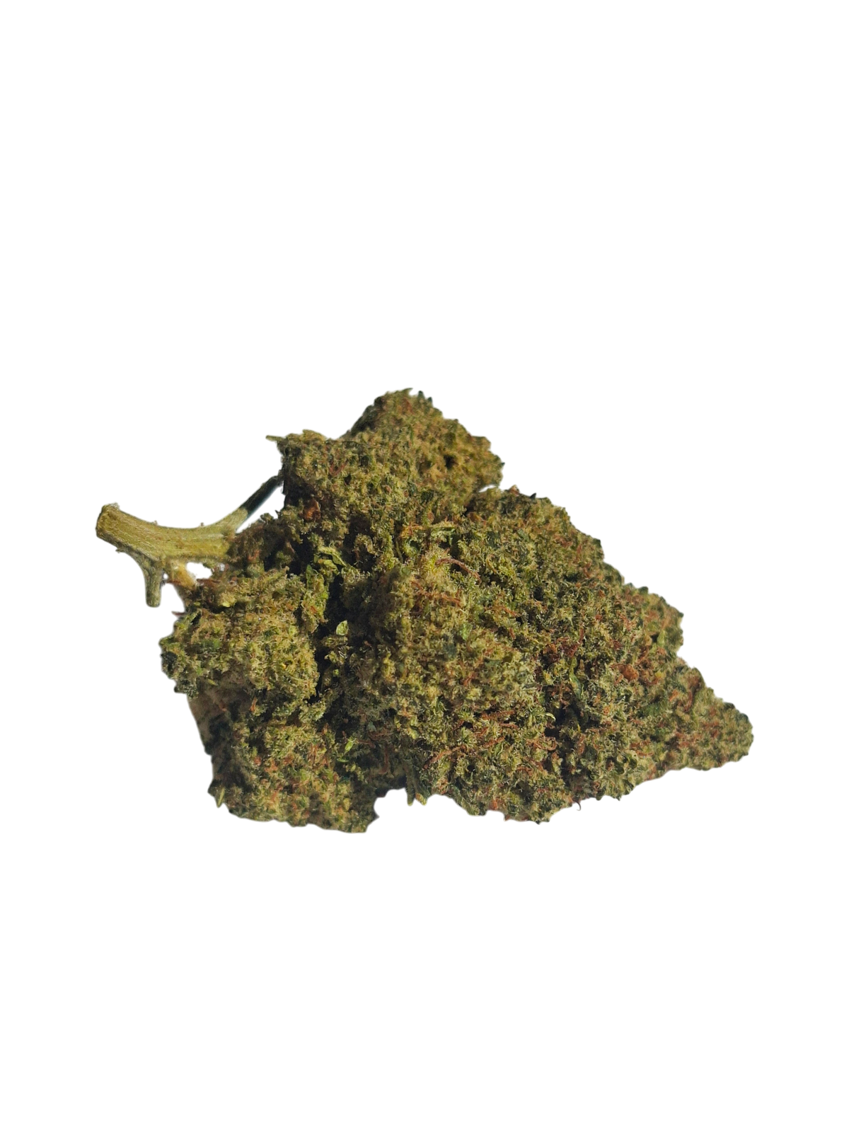 GELATO COOKIE