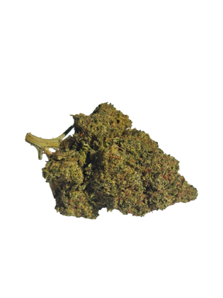 GELATO COOKIE