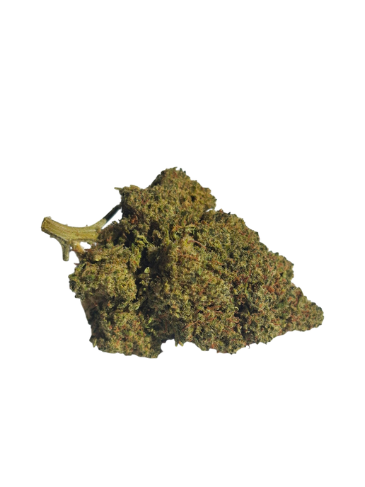 GELATO COOKIE