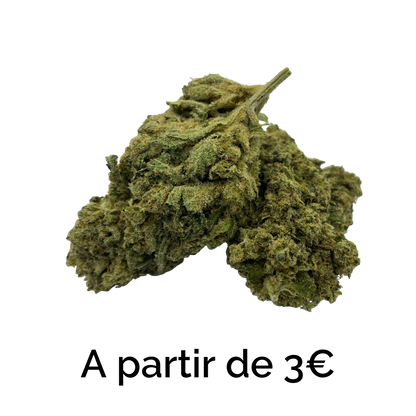 Small Bud CBD Outdoor Les Chanvriers CBD fleur fruitée et sucrée petit prix