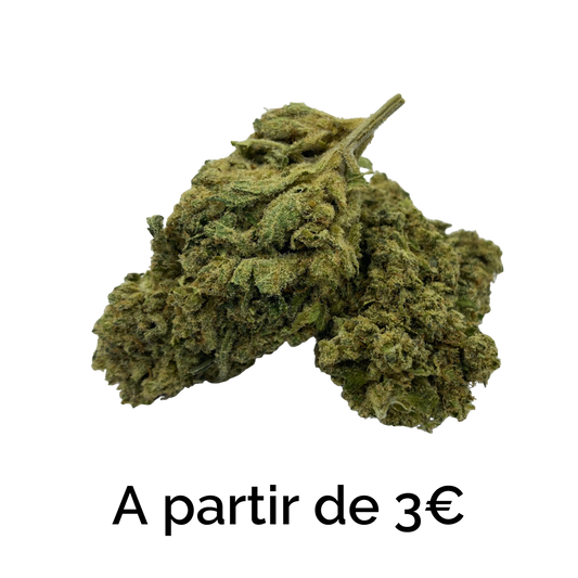 Small Bud CBD Outdoor Les Chanvriers CBD fleur fruitée et sucrée petit prix