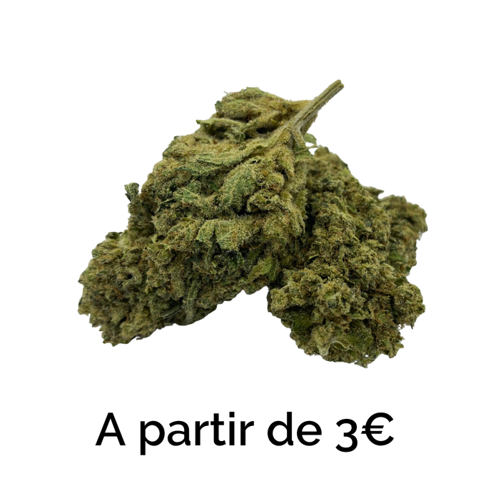 Small Bud CBD Outdoor Les Chanvriers CBD fleur fruitée et sucrée petit prix