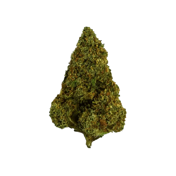 Bubblegum THZ