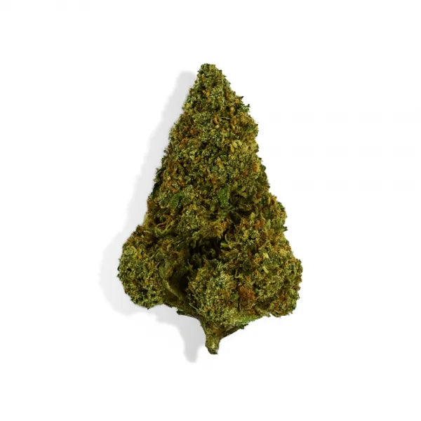 Bubblegum THZ