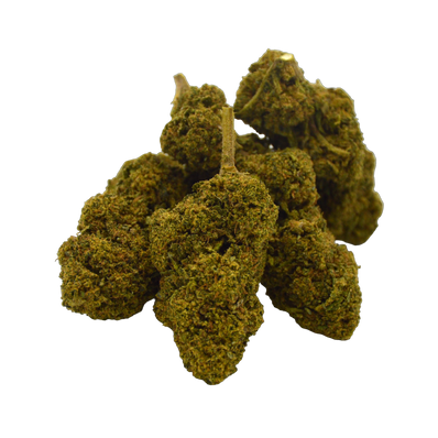 Nebula CBD 25%
