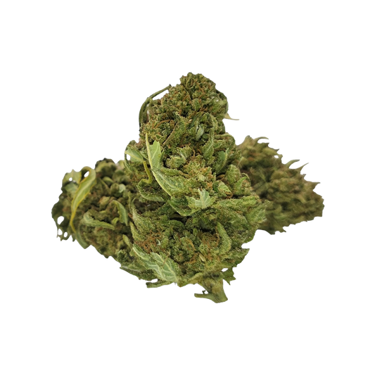 fleur cbd lemon 911 indoor agrumes citron têtes denses