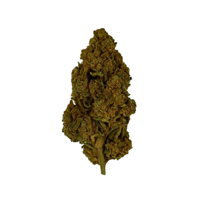 Fleur CBD Tropical Kush DEVIL indoor, buds denses au goût fruité et effet relaxant puissant